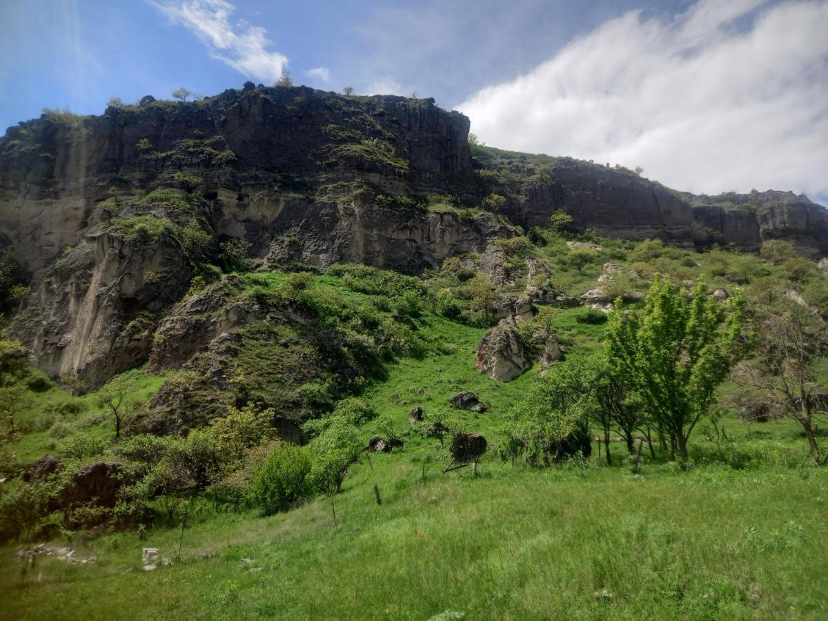 Сhachkari Bed & Breakfast Vardzia  Eksteriør bilde