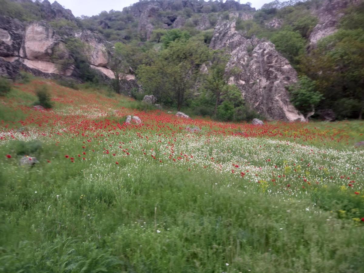 Сhachkari Bed & Breakfast Vardzia  Eksteriør bilde